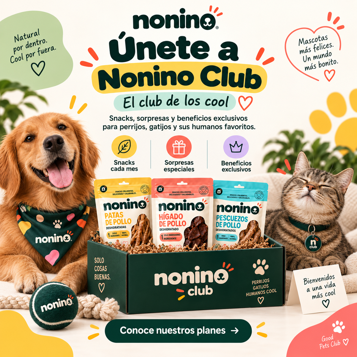 Nonino Club: suscripción mensual de snacks naturales para perros y gatos