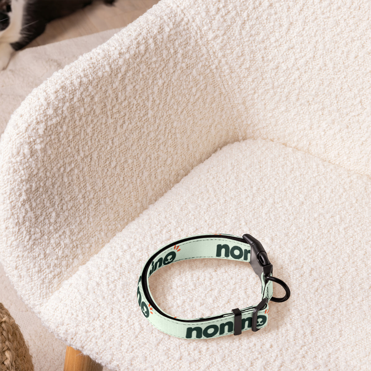 Collar ajustable Nonino para perro, talla L, vista de frente